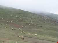 منطقه گردشگری چیچکلی