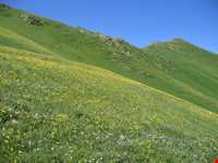 منطقه گردشگری چیچکلی