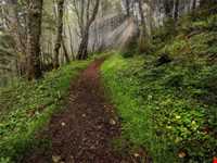 روستای دوزین