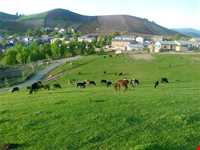 روستای دوزین