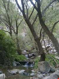 آّبشار ورچور