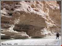 دره کال سر در