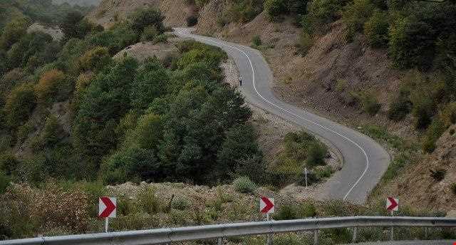 Forest Park Strait forty tea