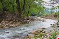 پارک جنگلی تنگه چهل چای