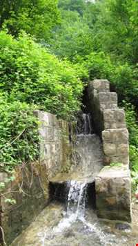 پارک جنگلی تنگه چهل چای