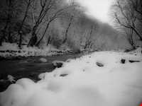 پارک جنگلی تنگه چهل چای