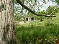 روستای رزجرد