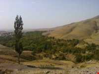 روستای رزجرد
