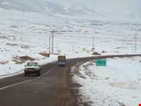 روستای رزجرد