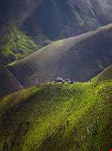 جنگل پیرداوود