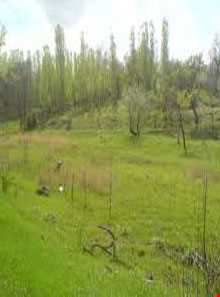 روستای قلعه قدس