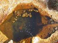 روستای قلعه قدس