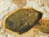 روستای قلعه قدس