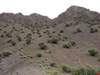 روستای خانک