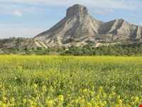 کوه قالقیران