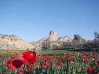 کوه قالقیران