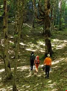 منطقه ییلاقی هلو دشت