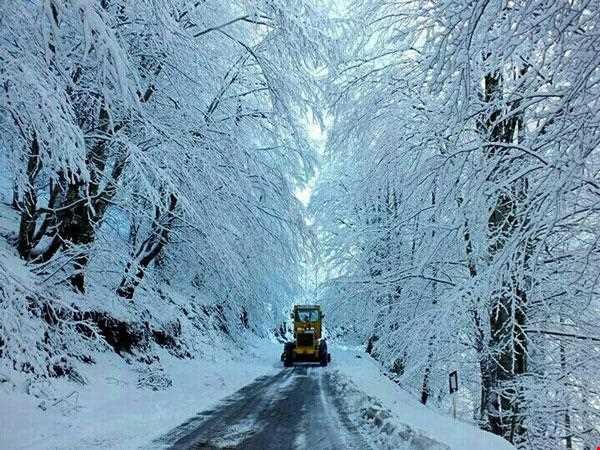 منطقه ییلاقی هلو دشت