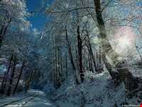 منطقه ییلاقی هلو دشت