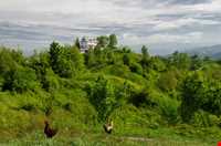 منطقه ییلاقی هلو دشت