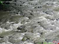 منطقه ییلاقی هلو دشت