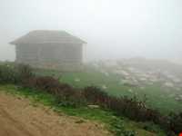 منطقه ییلاقی هلو دشت