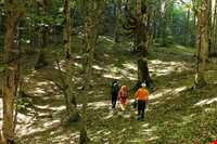 منطقه ییلاقی هلو دشت