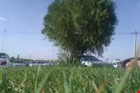 پارک کوهستان یزد