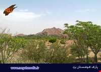 yazd Mountain Prak