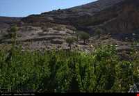 Haftad Molla Cemetery