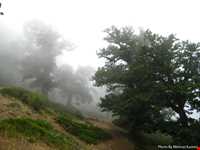 دره تل انبار