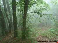 دره تل انبار