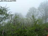 دره تل انبار