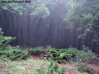 دره تل انبار