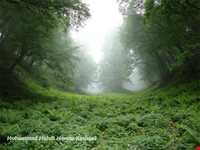 دره تل انبار