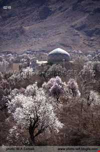 مسجد جامع شاه ولی