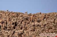 Protected Area Darbadam