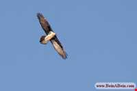 Protected Area Darbadam