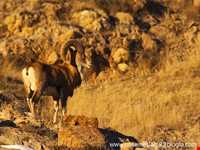 Protected Area Darbadam