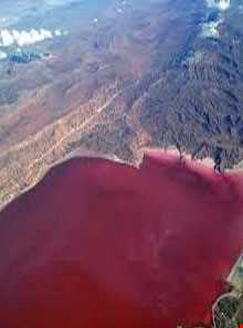 تالاب لیپار ( تالاب صورتی )