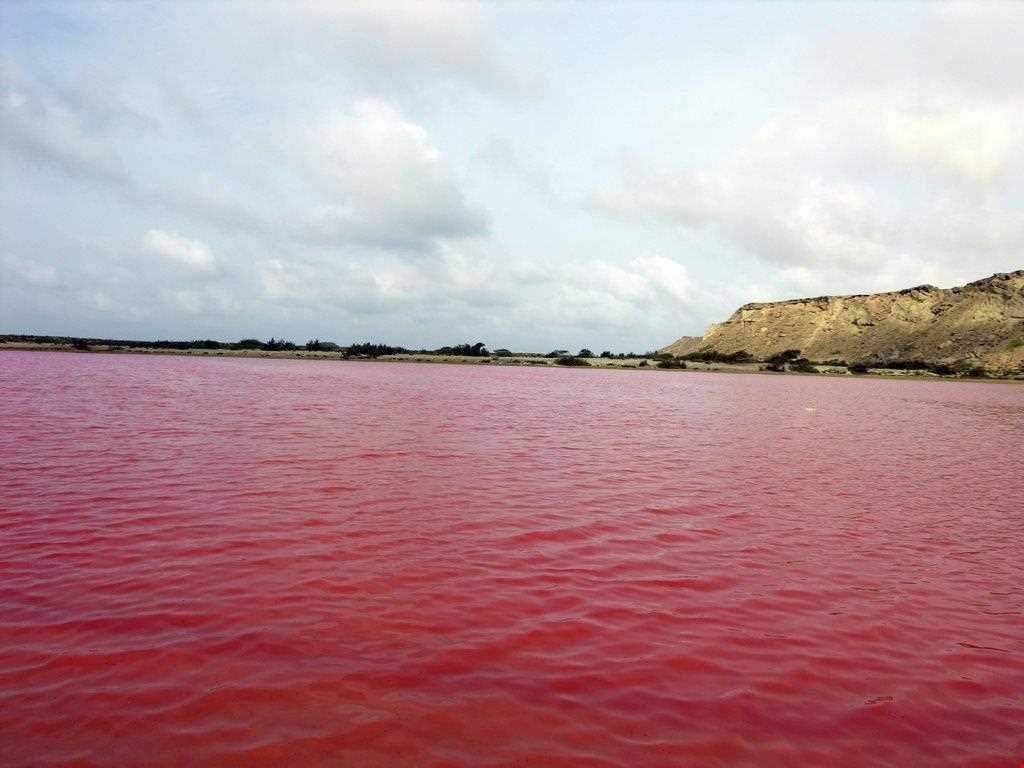Lipar wetland (pink wetland)