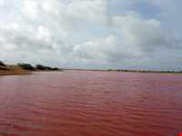 Lipar wetland (pink wetland)