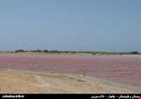 Lipar wetland (pink wetland)