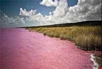 Lipar wetland (pink wetland)