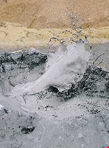 گل افشان پیرگل