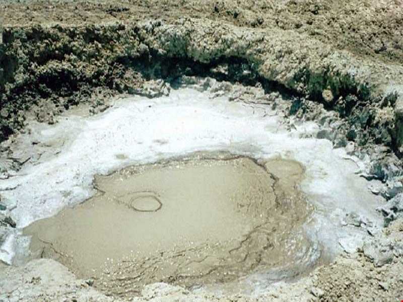 گل افشان پیرگل