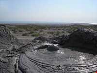 گل افشان پیرگل