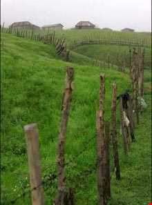 ییلاق سوباتان