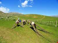 ییلاق سوباتان