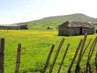 ییلاق سوباتان